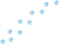 犬の足跡のイラスト