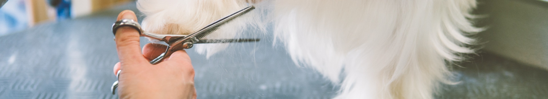 メニュー | わんちゃんにとって心からくつろげる、「箱庭」のようなサロン